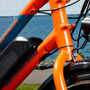 Behind the Bike: The RadWagon 4