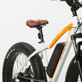 RadRover Electric Fat Bike