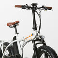 RadMini Electric Folding Fat Bike