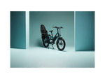 RadWagon™ Electric Cargo Bike