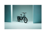 RadWagon™ Electric Cargo Bike