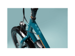 RadWagon™ Electric Cargo Bike