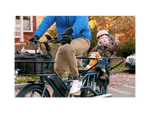 RadWagon™ Electric Cargo Bike