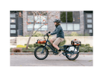 RadWagon™ Electric Cargo Bike