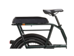 RadRunner 3/RadRunner Max Passenger Package