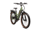 Radster™ Trail Electric Off-Road Bike