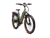 Radster™ Trail Electric Off-Road Bike