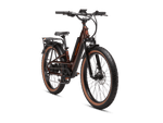 Radster™ Trail Electric Off-Road Bike