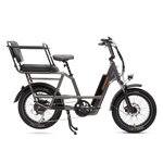 RadRunner Caboose and Passenger Package installed on a RadRunner 3 Plus electric utility bike