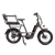 RadRunner Caboose and Passenger Package installed on a RadRunner 3 Plus electric utility bike