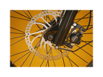 Close up shot of a wheel with spokes and metal brake rotor.