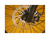 Close up shot of a wheel with spokes and metal brake rotor.