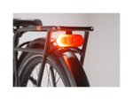 Radster™ Road Electric Commuter Bike
