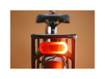 Radster™ Trail Electric Off-Road Bike