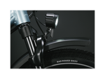 RadWagon™ 5 Electric Cargo Bike